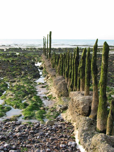 567 Pourville sur mer.JPG